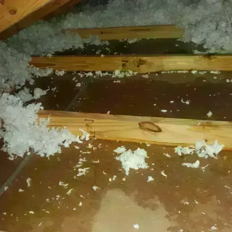 Attic Water Damage in Pine Grove, PA